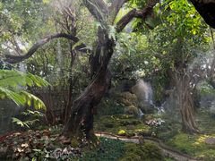 -Chom Cafe and Restaurant