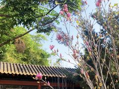 -顺峰山公园