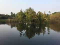 -贡湖湾湿地公园