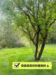 -金芙美月子中心(财富别墅店)