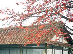 -喜洲吧·江畔老船厂·庭院餐厅(喜临院店)