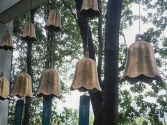 -火炉山森林公园