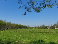 -广富林郊野公园