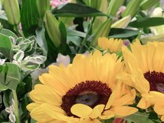 -FEI FEI FLOWER鲜花店·气球派对·宝宝宴布置(虹口德必运动Loft店)