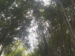-海南热带野生动植物园