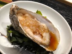 -橼舍鮨青木