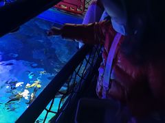 -沈阳海洋探索中心