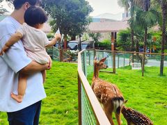 -杭州开元森泊度假乐园