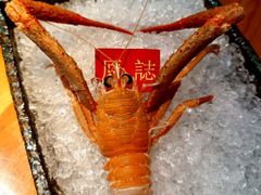 -原志优秀食材·匠心料理·海胆主题(金亿广场店)