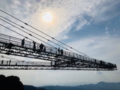 -梦幻奥陶纪景区