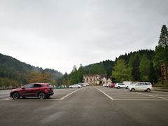 -武陵山森林公园