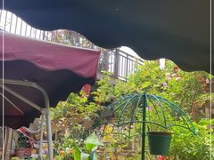 -鱼乐岛餐厅·户外花园主题餐厅