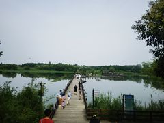 -溱湖国家湿地公园
