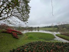 -中国科学院西双版纳热带植物园