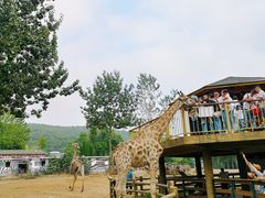 -大连森林动物园