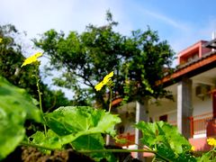 -开心农场温泉度假村