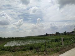 -鴜鹭湖生态旅游度假区