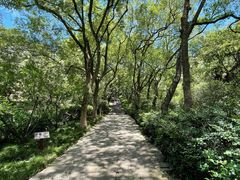 -宁波市保国寺古建筑博物馆