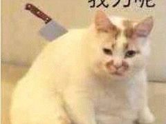 -艳阳天(万达广场红标店)