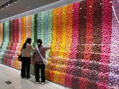 -天虹购物中心(石路店)