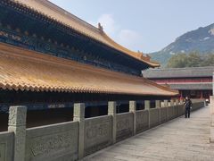 -普陀山风景区-佛顶山