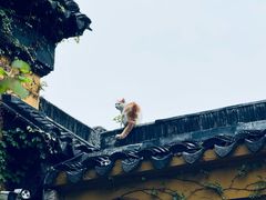 -西园戒幢律寺