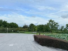 -阳澄湖半岛旅游度假区