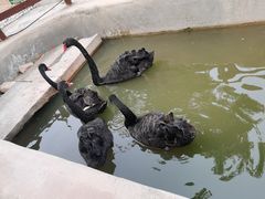 -南戴河国际娱乐中心