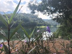 -孔雀湖生态旅游区