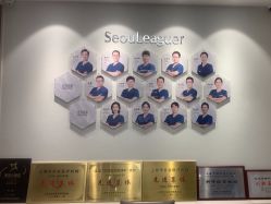-上海首尔丽格医疗美容医院