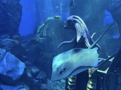 -波塞冬旅游度假区