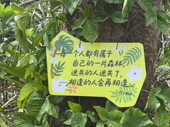 -海南热带野生动植物园