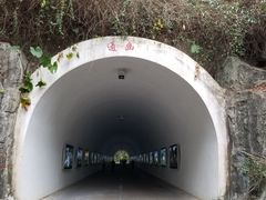 -深圳国际园林花卉博览园