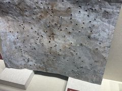 -烟台市博物馆