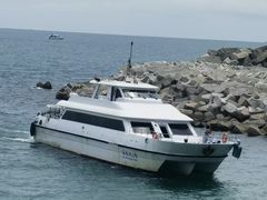 -三亚南山文化旅游区