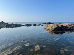 -养马岛旅游度假区