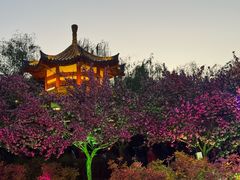 -洛阳市隋唐城遗址植物园