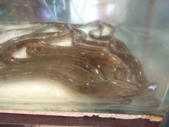 -兴旺海鲜砂煲王