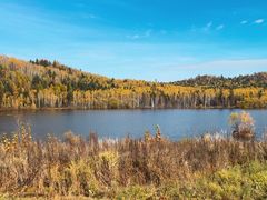 -五营红松林海景区