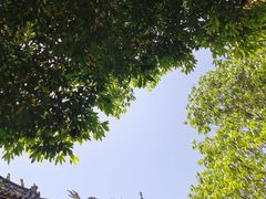 -南岳明心寺
