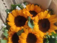 -循礼门鲜花花市(武汉循礼门店)