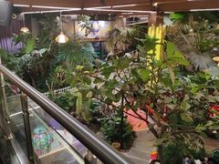 -九尊食上(生态园林酒店)