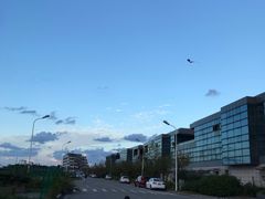 -南汇嘴观海公园