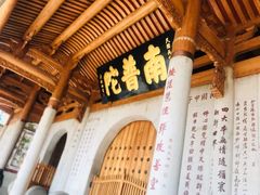 -南普陀寺