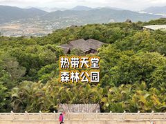 -亚龙湾热带天堂森林公园
