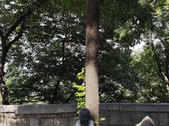 -龙泉寺