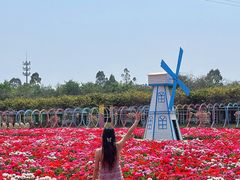 -盈香心动乐园