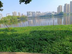 -武汉动物园