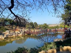 -北京西山国家森林公园