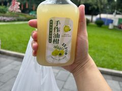 -荔湾湖公园